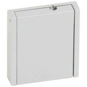 Prise de courant 2P+T à puits allemand montage en plastron format réduit|Legrand-LEG090336