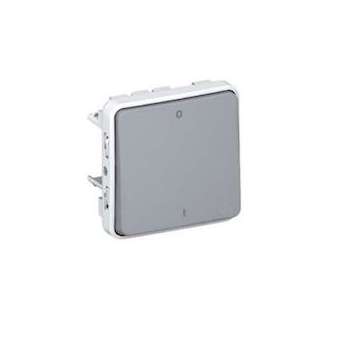 Interrupteur bipolaire étanche Plexo composable IP55 10AX 250V - gris|Legrand-LEG069530