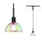 URail Suspen. Sarrasani max 20W E14 Noir dépoli/Dicro 230V Métal Verre|Paulmann-PUA96976