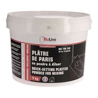 Plâtre de Paris à prise rapide poudre à diluer en seau (5 kg)|Bizline-BIZ740142
