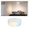 Clever Connect Spot Medal 1x2W 2700- 6500K tunable White 12V Blanc dép/synth|Paulmann-PUA99954